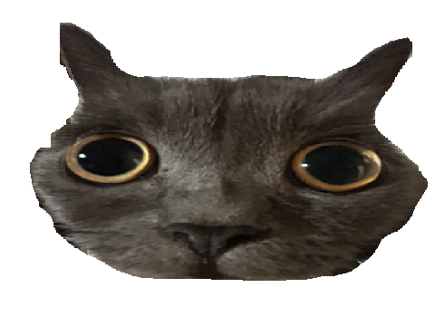 pet the fred
