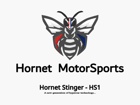 Hornet Stinger - HS1; Reveal 2 / 1 / 25 (d/m/yy)