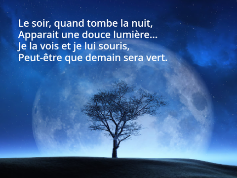 L'avenir - Lou -
