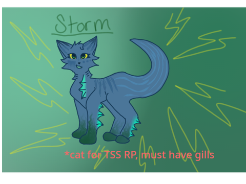 OPEN 30+ DMC ✦✦✦ for Storm! ✦✦✦