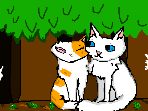 Brightheart and Cloudtail Contest Art