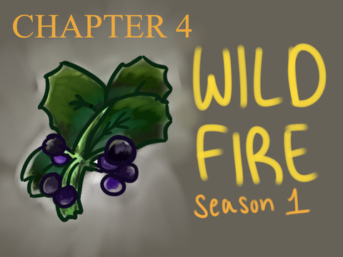 wildfire . s1 . ch 4