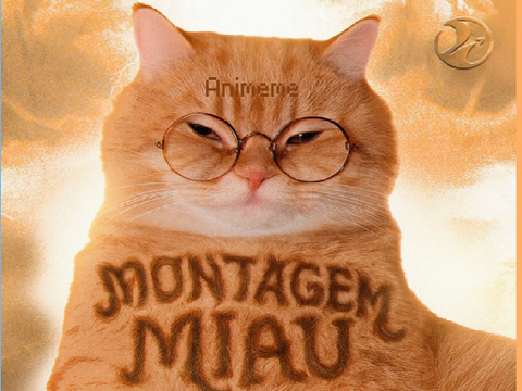 MONTAGEM MIAU // meme template