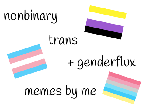 nonbinary/trans/genderflux memes