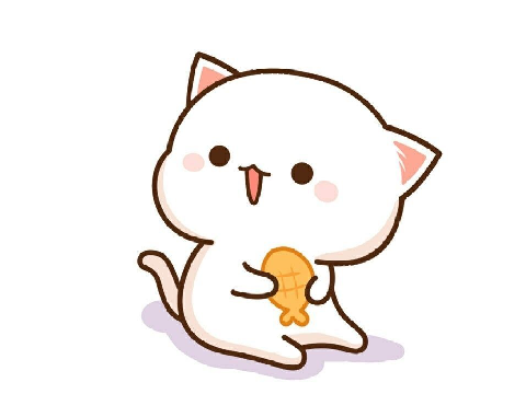 Cat eating :)