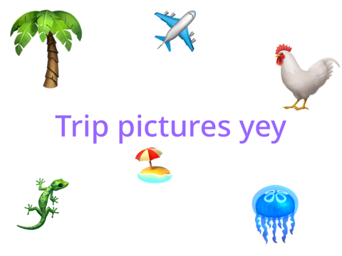 Pictures from my trip! :3