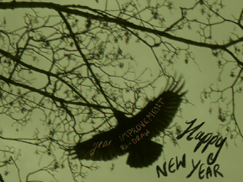 20. ~ new year re-draw!