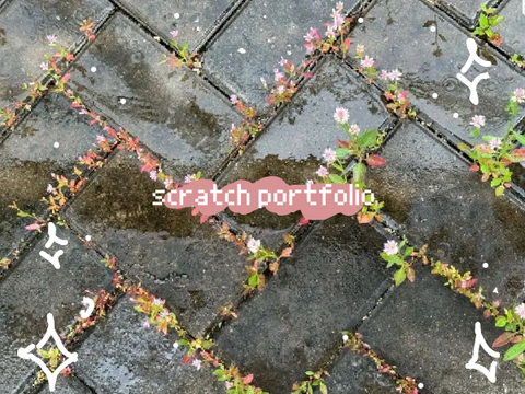 ꧁ scratch portfolio ꧂
