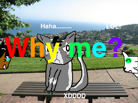 Why am I the only one CC  My enrty!