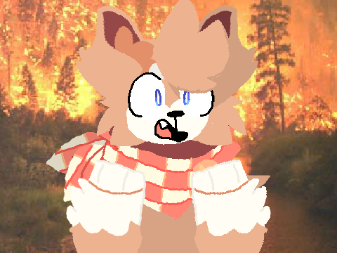 Wildfire | meem-o