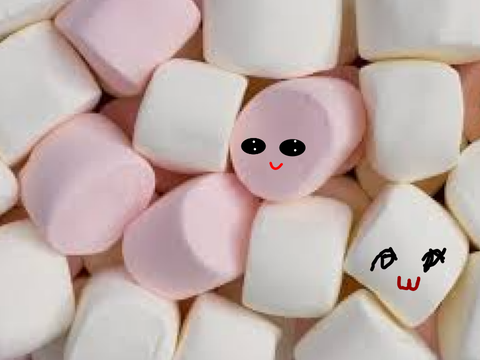 Add yourself as marshmallow! remix