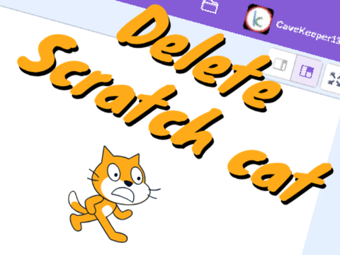 When you delete the scratch cat...