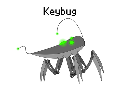 MD Keybug vector
