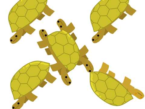 turtle dance 
