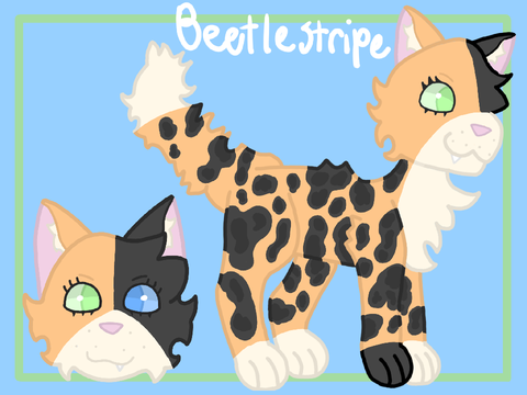 Updated Beetlestripe ref