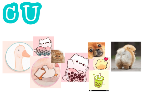 Cutsie chatroom
