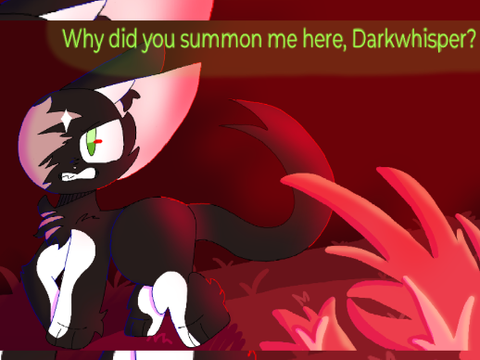 Echo - Panel redraw