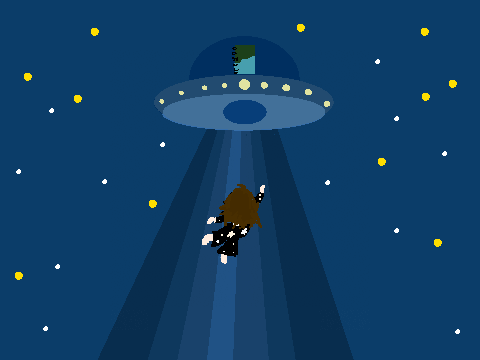 i have no idea on what i should name this