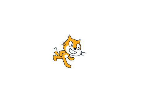 Spinnin' Cat (Test)