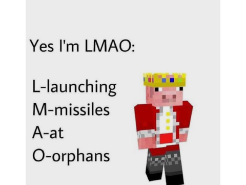 Collections of memes