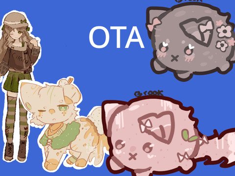 Ota \  DAT participation