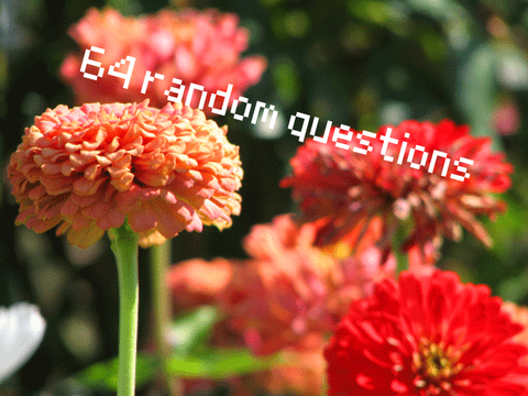 64 random questions remix remix remix