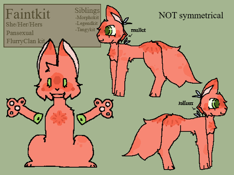 ♦︎ faintkit's haven