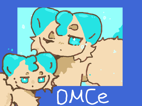 70+ follower DMCe