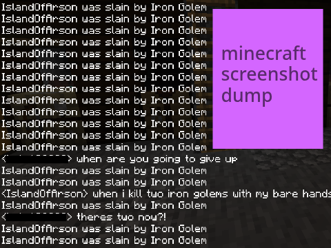 minecraft screenshot dump