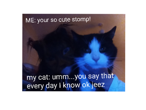 Stomp meme!
