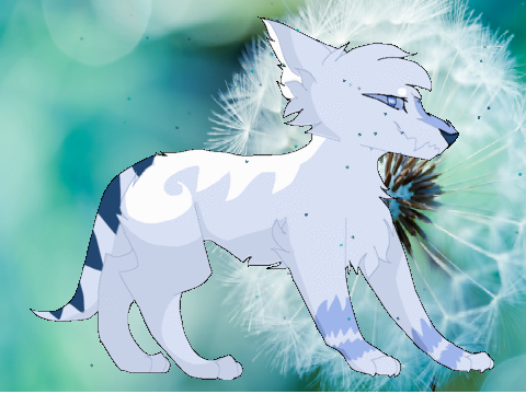 Mel - Gift for Qizzystudio