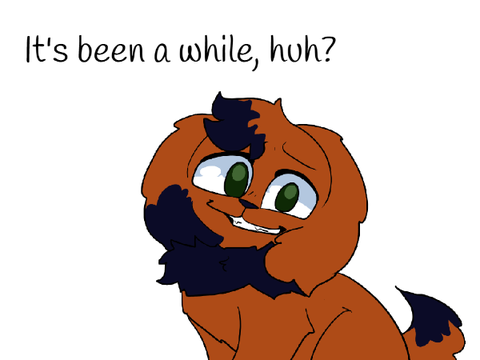 Little announcement on where I've been