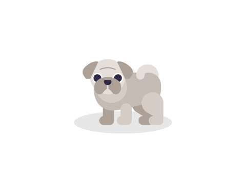 Pug
