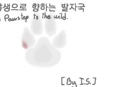 A pawstep into the wild assets