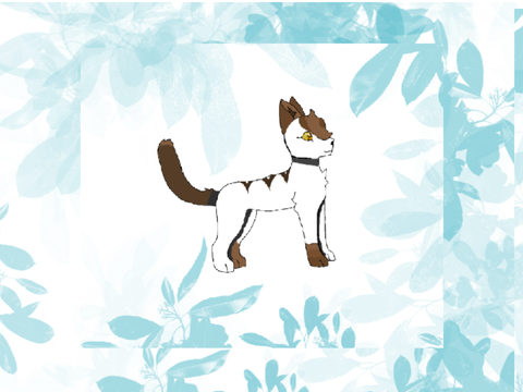 Dtae Brownie