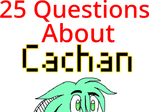 25 Questions About Cachan