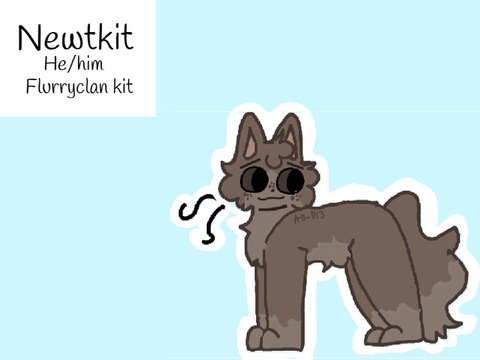 ᨒ↟˚ Newt ˚↟ᨒ 