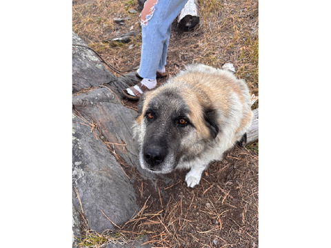 Please help <3