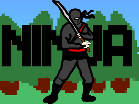 The NINJA 