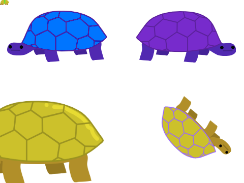 Turtle dance 2