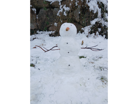 Snowman