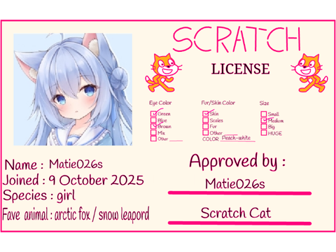 My scratch liscense