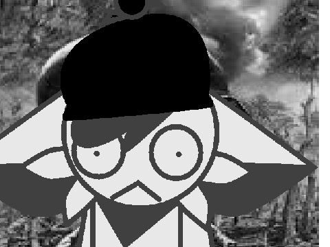 why do birds (ft parakit)