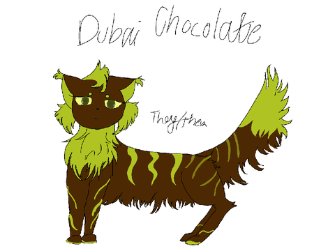 Dubai Chocolate -DaT