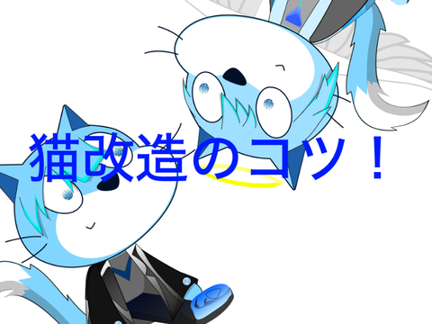 猫改造のコツとか諸々！