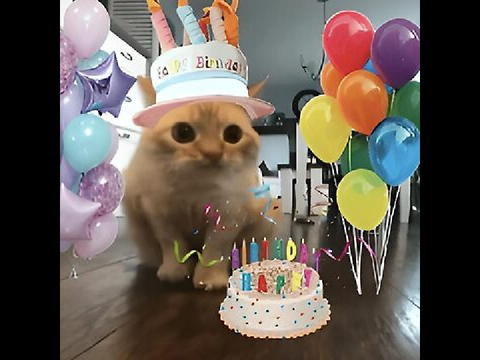 happy birthday to me