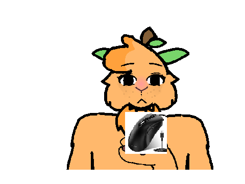 I GOT A MOUSE :D