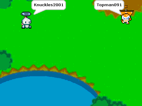 Add your chao to the tiny chao garden