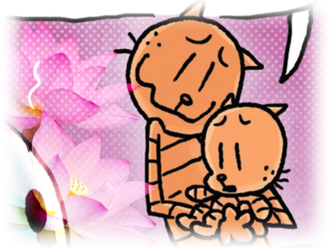 ꩜⋆｡
