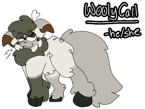 woolycall ref